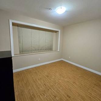 2bdrm Suite - Knight & 41st Ave - Photo 3