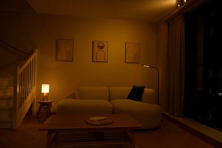 Rijnlandlaan 217, Schipluidenbuurt, 1062MX, Amsterdam - Photo 5