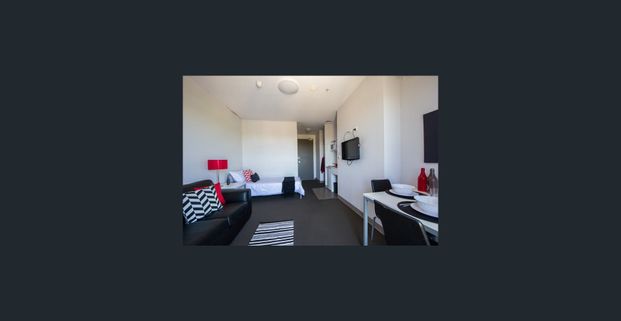 Fully furnished Single Studio available from 4th December - Photo 1