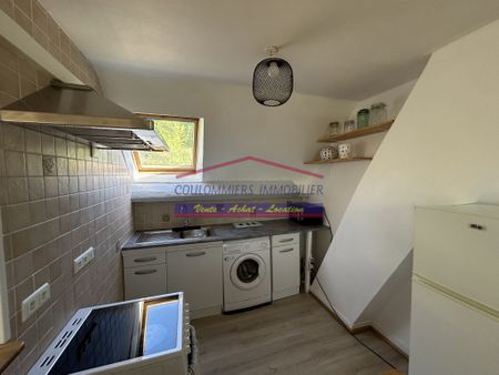 Location Appartement 3 pièces 47m² COULOMMIERS 77120 - Photo 2