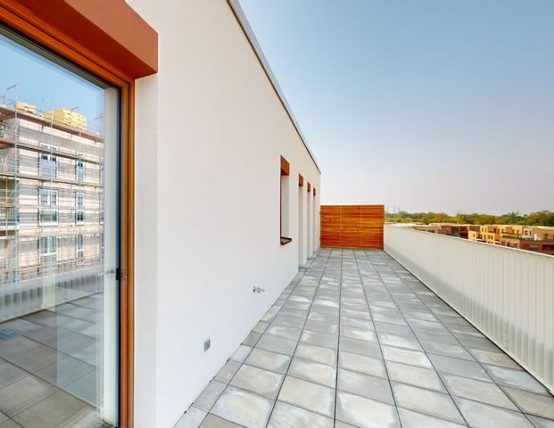 Ihr Zuhause, unser Bonus: 1 Nettokaltmiete geschenkt!: 2-Zimmerwohnung mit großer Dachterrasse - Foto 1