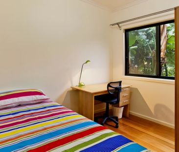 PLH4 Small - Photo 1