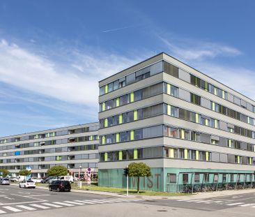 Garnisonstraße 11a-5 - Foto 1