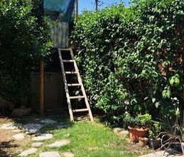 Μεζονέτα για ενοικίαση - Πανόραμα, - Photo 5