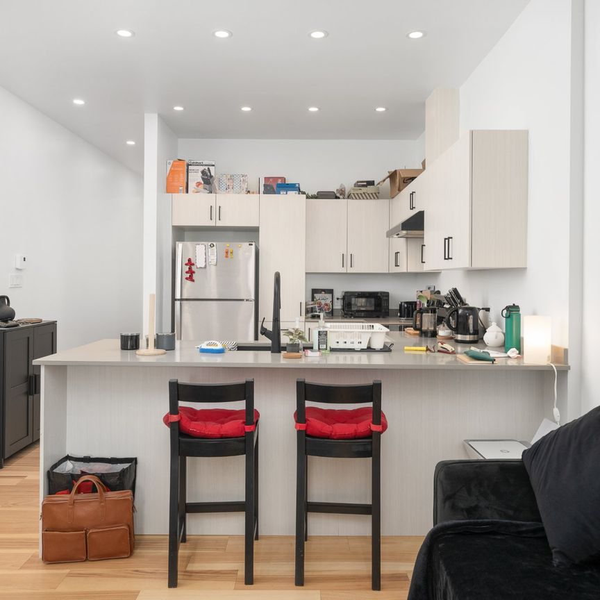 Condo for rent, Montréal (Le Sud-Ouest) - Photo 1