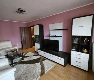 De inchiriat apartament cu 2 camere Baia Comunala, 450 Euro - Photo 5