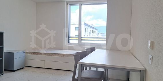 N110 – HALDIMAND 55, 1.5 room furnished studio of 21m2 - Foto 3