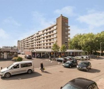 Marco Pololaan 0ong, 3526 Utrecht, Nederland - Foto 2