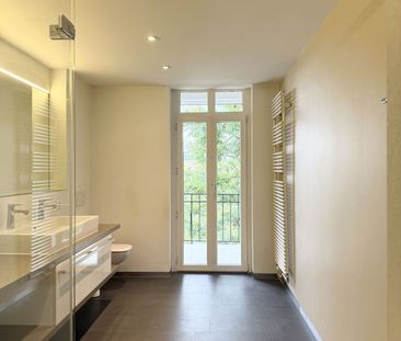 Grosszügige Duplex-/Maisonettewohnung im St. Johann-Quartier! - Photo 3