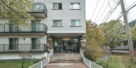 1 Bedroom - 6965 Rue De Choisy, Montréal - Photo 3