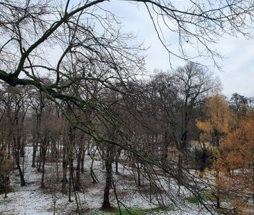 Pokój, ul. Popowicka - Photo 5