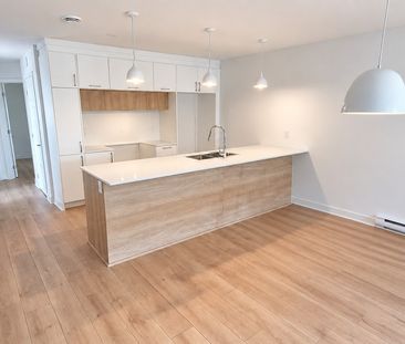LIBRE — 5½ Neuf 2025, 3 Càc, Plain-pied - Photo 1
