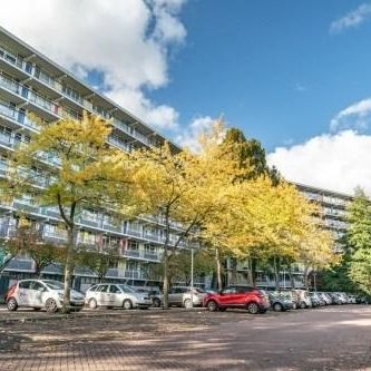 Zijldonk, 2317 DP Leiden, Nederland - Foto 1