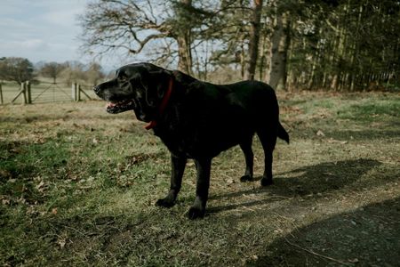 Stone Cottage, Hall Close Farm, Alveley, Bridgnorth, WV15 6NG, Bridgnorth - Photo 5