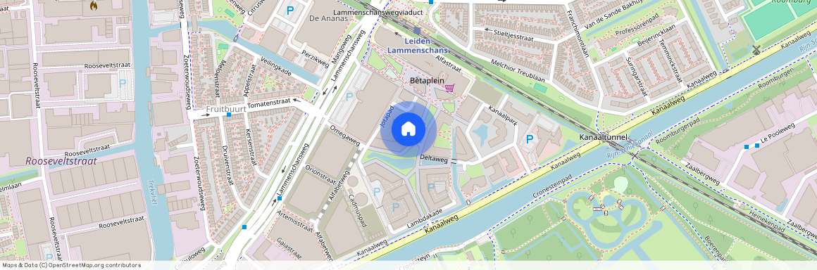 Omegaplantsoen 169, 2321 KT, Leiden