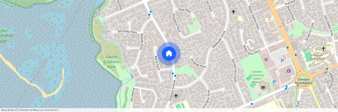 175 Finlayson Avenue, Clendon Park, Manukau City