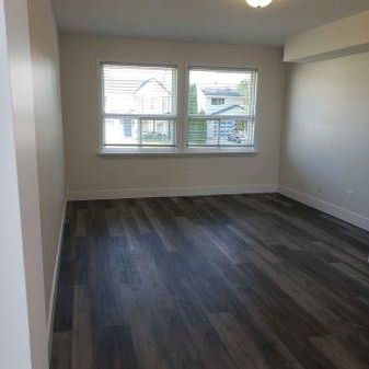 Studio/Bachelor Suite - Photo 1