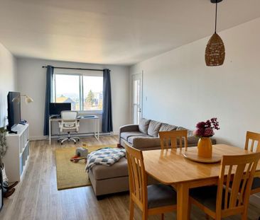 Appartement 4 1/2 TOUT INCLUS - Disponible 1er juillet à Lévis - Photo 2