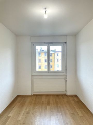 Plaine de Plainpalais - Université - Photo 5