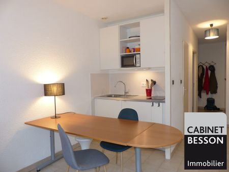 Location Appartement 1 pièce 26m² GRENOBLE 38000 - Photo 3