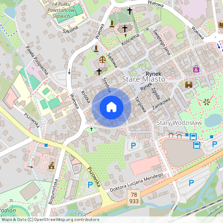 Wodzisław Śląski, wodzisławski, śląskie