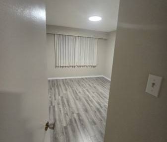 1 BEDROOM SUITES BRAND NEW RENOVATED NORTH BURNABY ALBERT STREET - Photo 3