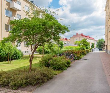 Petter Swartzgatan, Norrköping - Photo 4