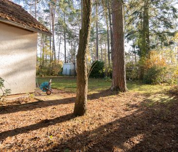 Zwischen Wäldern und Wasser l Idylli­sches Leben am Möllensee - Photo 5