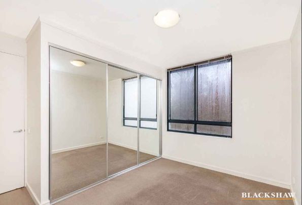 Modern Two Bedroom Unit in Kingston - Photo 1