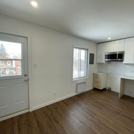 3 et 1/2 rénové à louer 1 400$ dans Rosemont-La-Petite-Patrie - Photo 3