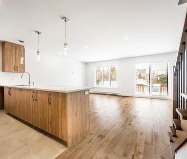 1683 Rue Holmes - Photo 4