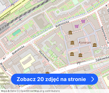 Mieszkanie loftowe z sauną w Koneserze - Zdjęcie 1