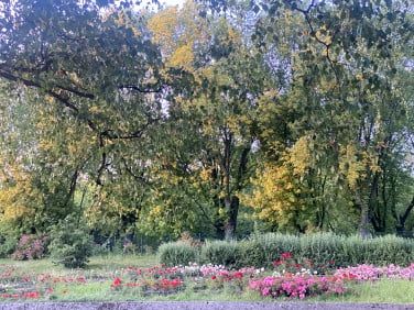 Pokój, ul. Bolesława Chrobrego - Фото 4