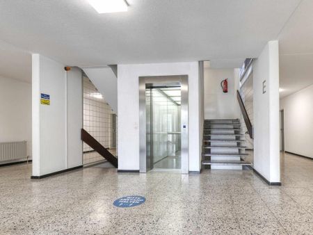 Wohnung für Familien – 3 Zimmer – Toplage in Mainz-Bretzenheim - Photo 3