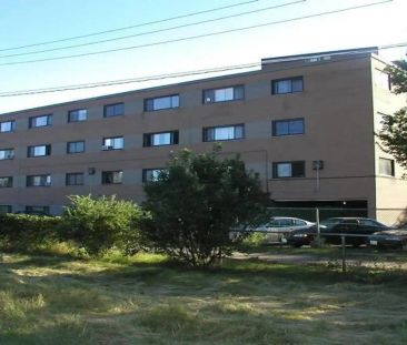 Elta Apartments — 2 Bedroom - Photo 3