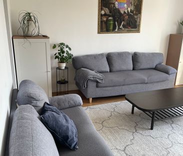 Senapsgatan, Angered - Photo 5