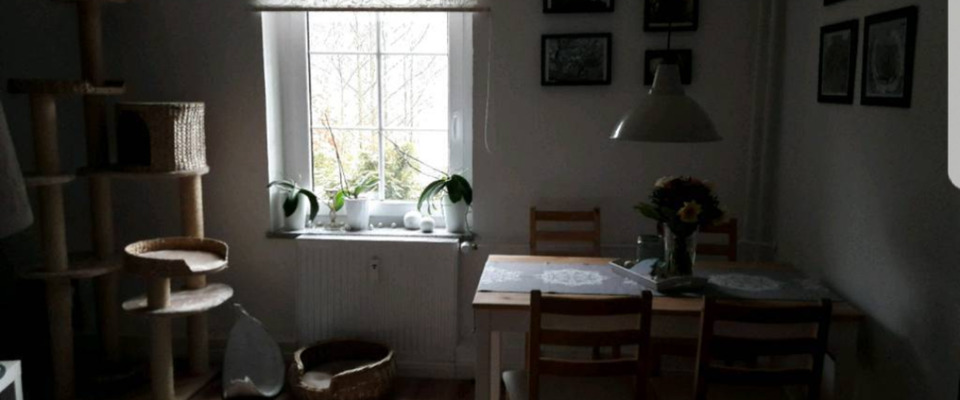 Idyllisch Wohnen im Kurort Jonsdorf mit Terrasse und kleinem Garten! - Photo 1