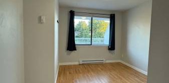 Entire Apartment 2 Beds 1 Bath - Photo 2