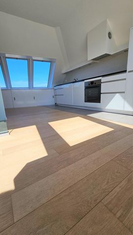Magnifique appartement duplex avec vue imprenable et ascenseur - Foto 2