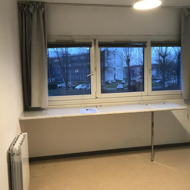Location Appartement 1 pièce 19m² ILLKIRCH GRAFFENSTADEN 67400 - Photo 1