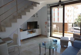 15 Sinergia World II – Id. 428