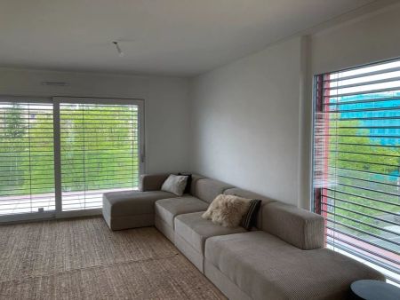 Magnifique appartement de 3.5 pièces à louer ! - Photo 3