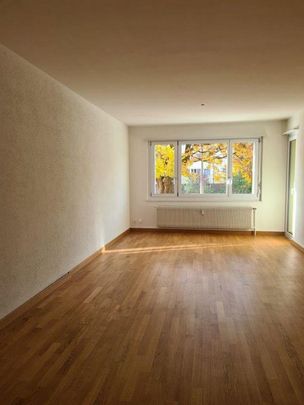 2.5 Zimmer Wohnung - Photo 1