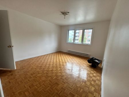 2802 Rue Modugno - Photo 3