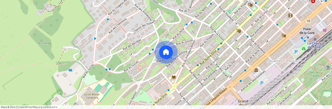 2300, La Chaux-de-Fonds, Rue du Tertre, 4