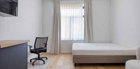 Studeren op een toplocatie in Leuven! - Foto 2