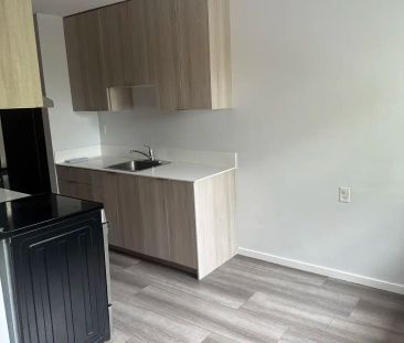 Chestnut Apartments — 305 - Photo 1