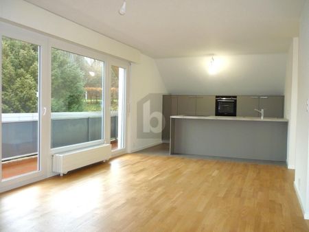 CONFORTABLE, SPACIEUX & WITH PANORAMA SUR LE LAC - Photo 5