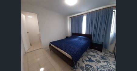 Spacious Split-level Fully Furnished One Bedroom Unit in the heart of Ultimo - Photo 4