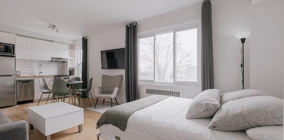 Loft entièrement meublé à louer Sainte-Foy / Sillery juillet 2026 - Photo 2